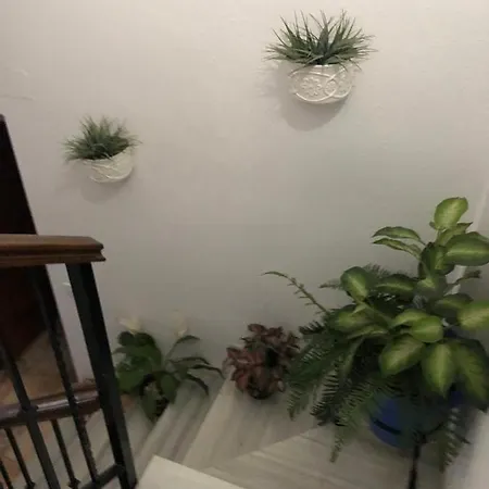 Casa Con Alma Apartment